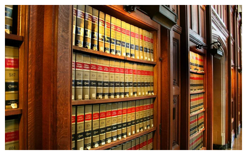 Our Legal Team